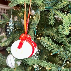 CUTE and FUNNY Festive White and Red TOILET PAPER Ornament with Bow
